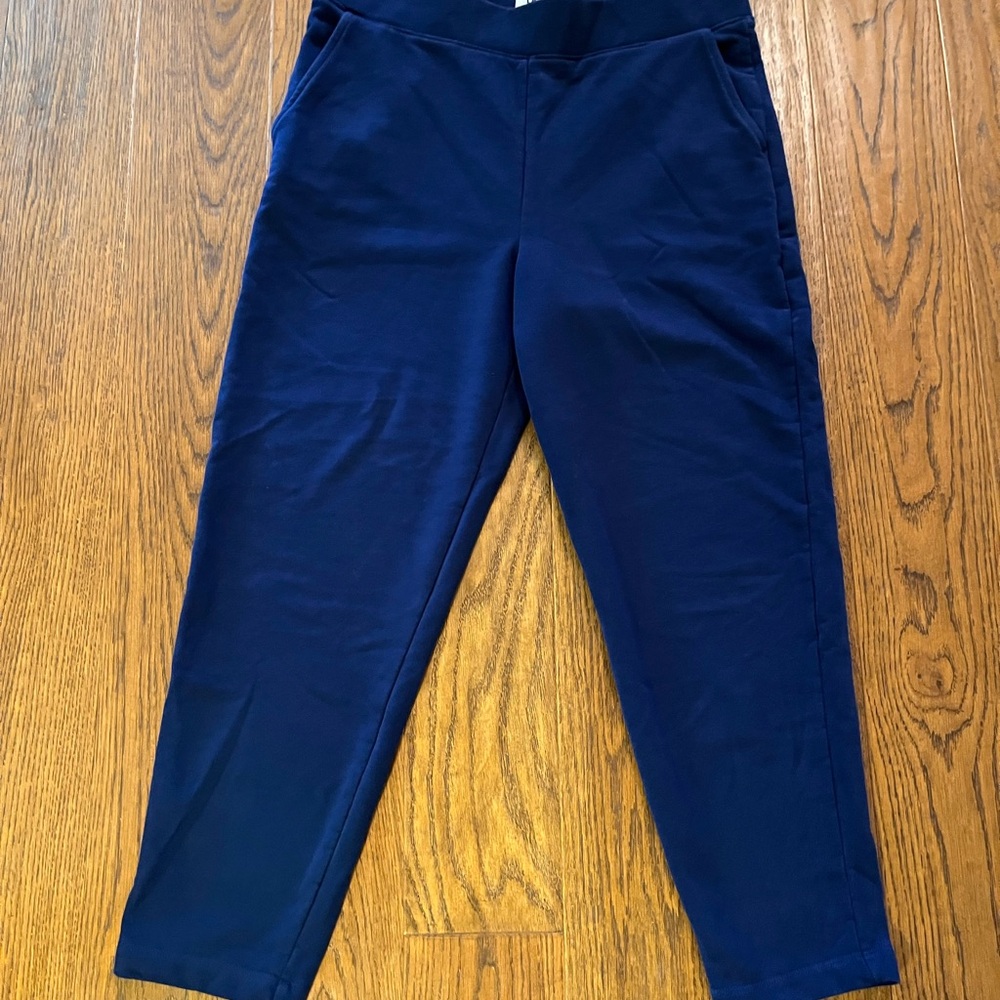 Lands' End Deep Blue Serious Sweats